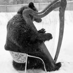 Bear Playing Harp in the Snow