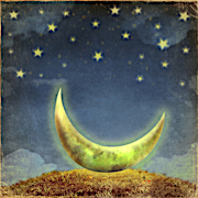 Crescent Moon with Stars Above