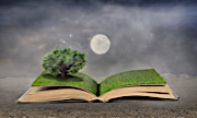 Open Book with Grass and Magical Tree