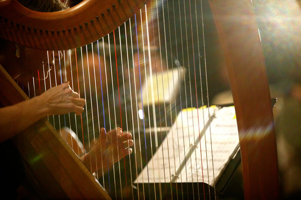 Anne Roos Plays the Harp in Positive Light