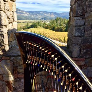 View with harp from Castello di Amorosa (Photo credit: Anne Roos)