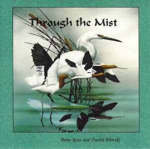 Through the Mist Album Cover