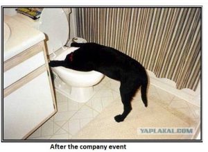 Dog After Company Party