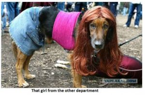 Doggie Girl from Other Department