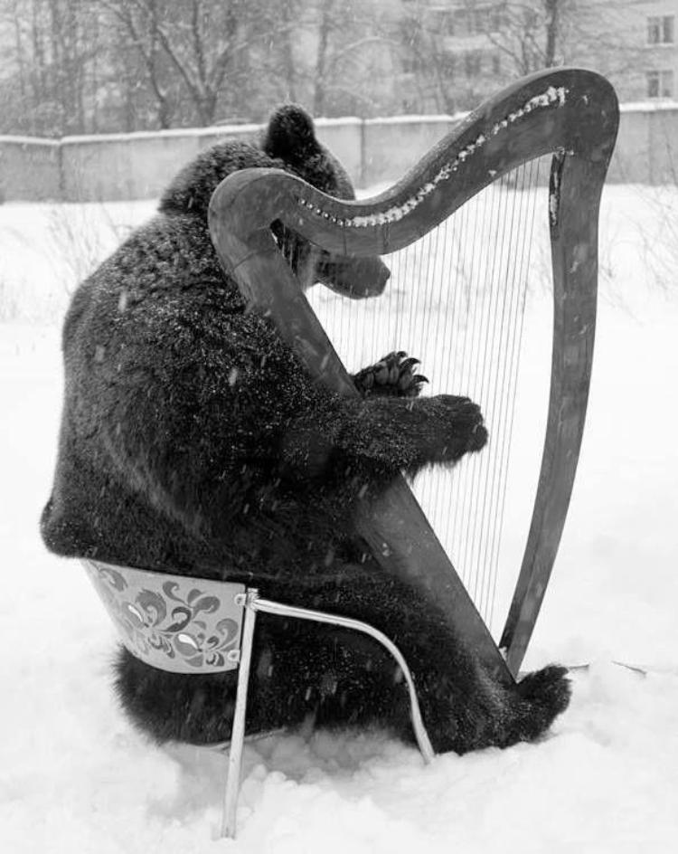 Bear Playing Harp in the Snow